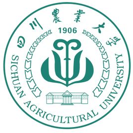 study in china
